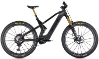 Wallis Carbon E-AMDURO 008