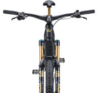 Wallis Carbon E-AMDURO 008