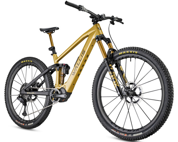 Wallis Carbon Project-S LT Live Valve Neo gold Edition