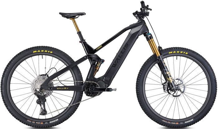 Wallis Carbon E-AMDURO SL