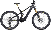 Wallis Carbon E-AMDURO SL