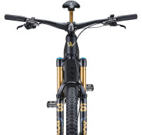 Wallis Carbon E-AMDURO SL