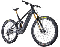 Wallis Carbon E-AMDURO SL