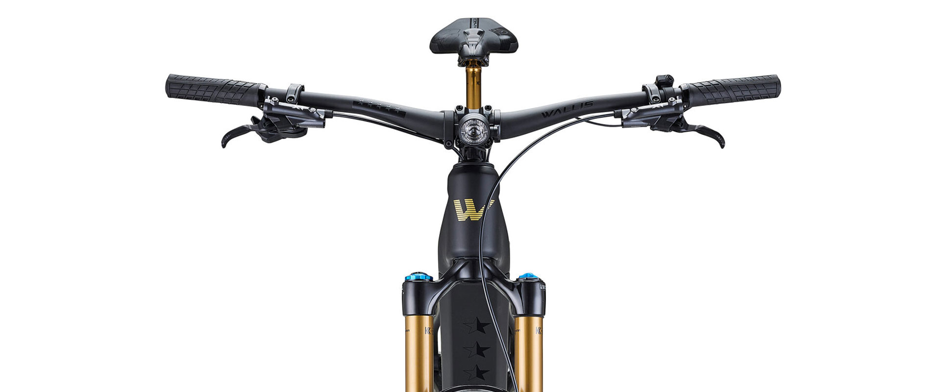 Wallis Carbon E-Enduro